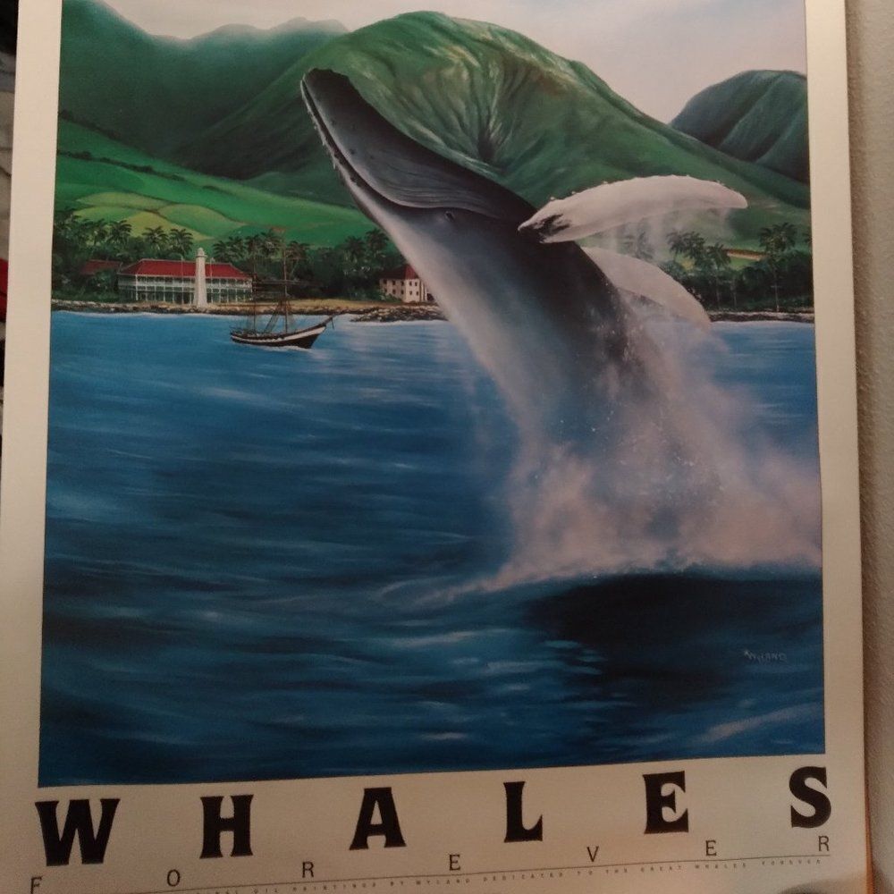 Vintage Whales Forever Wyland Studios 1984 Poster